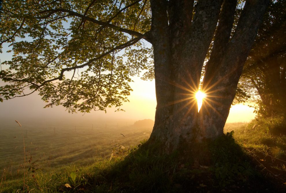 Miracle Morning